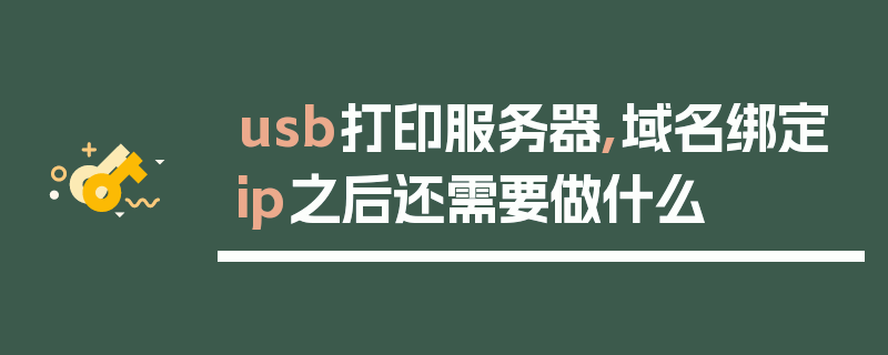 usb打印服务器,域名绑定ip之后还需要做什么