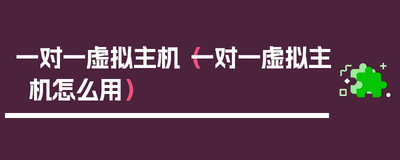 一对一虚拟主机（一对一虚拟主机怎么用）