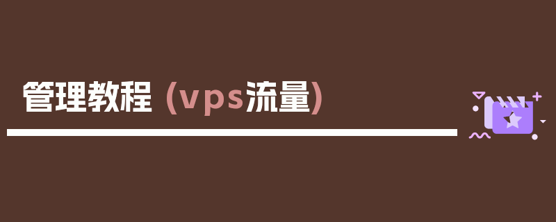 管理教程 (vps流量)