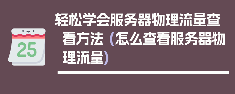 轻松学会服务器物理流量查看方法 (怎么查看服务器物理流量)