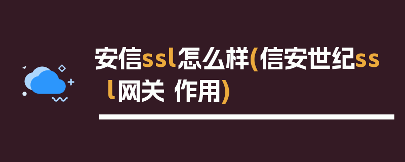 安信ssl怎么样(信安世纪ssl网关 作用)