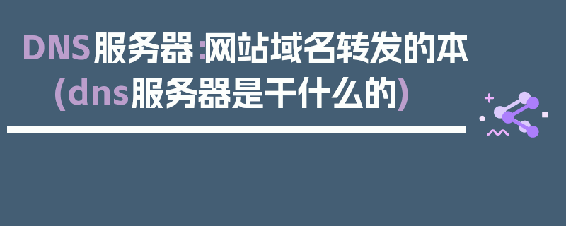 DNS服务器：网站域名转发的本 (dns服务器是干什么的)