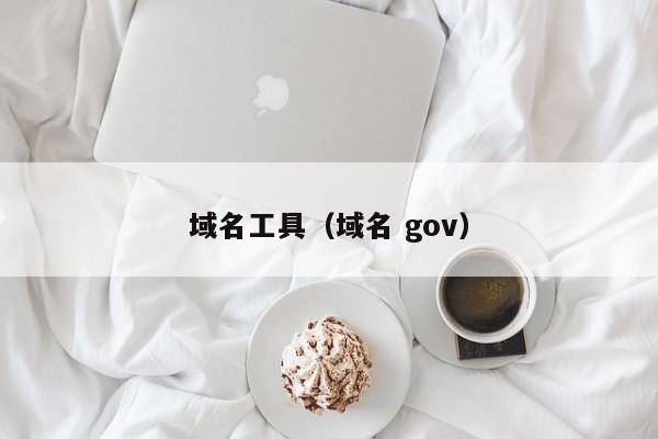 域名工具（域名 gov）