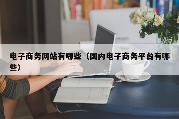 电子商务网站有哪些（国内电子商务平台有哪些）